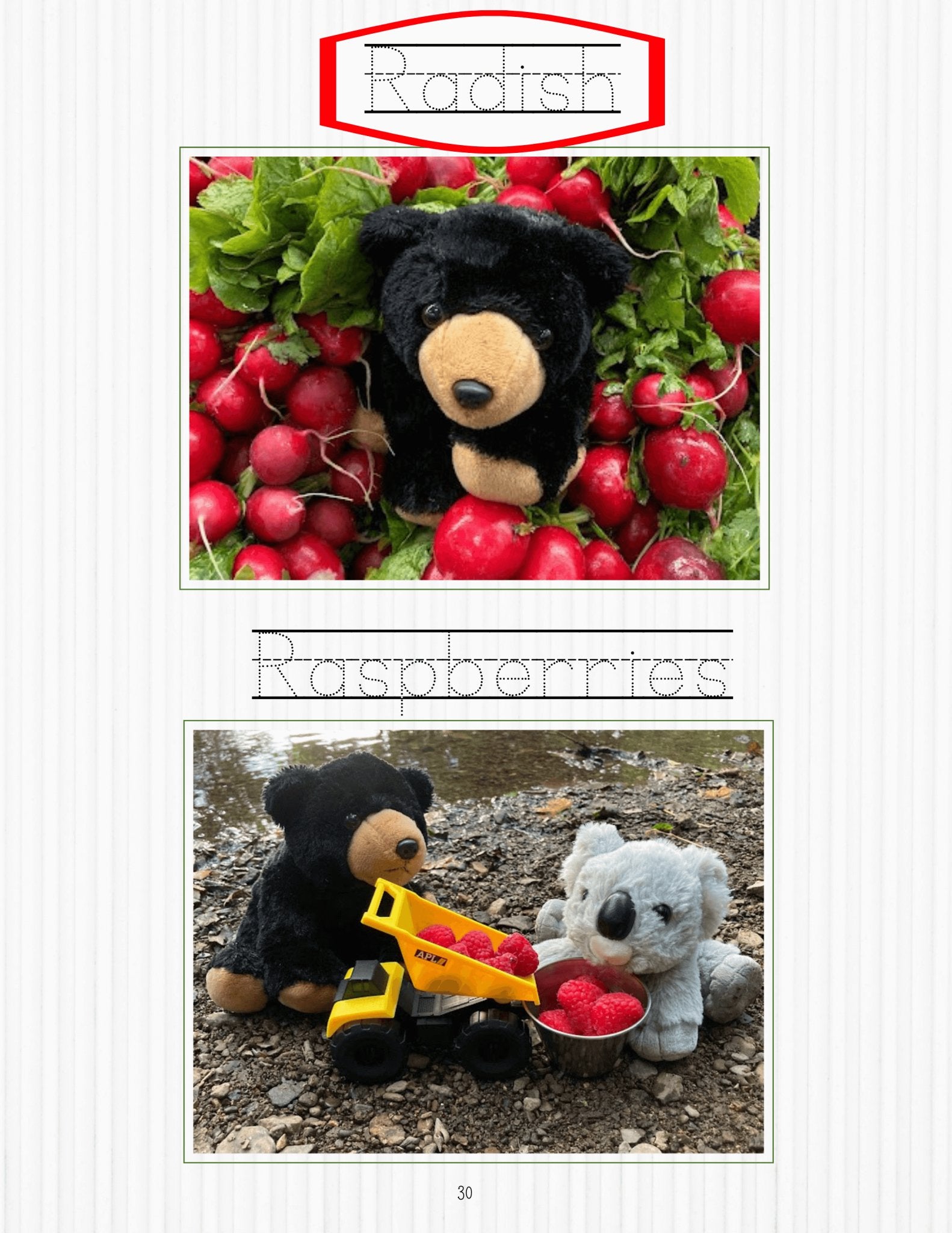 The Curious Cub's Guide to Fruits & Veggies eBook - Curious Cub Club